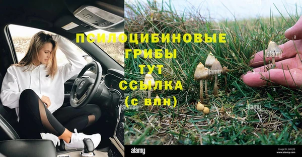 мет Алзамай