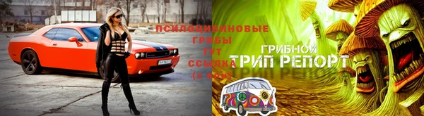 мет Алзамай
